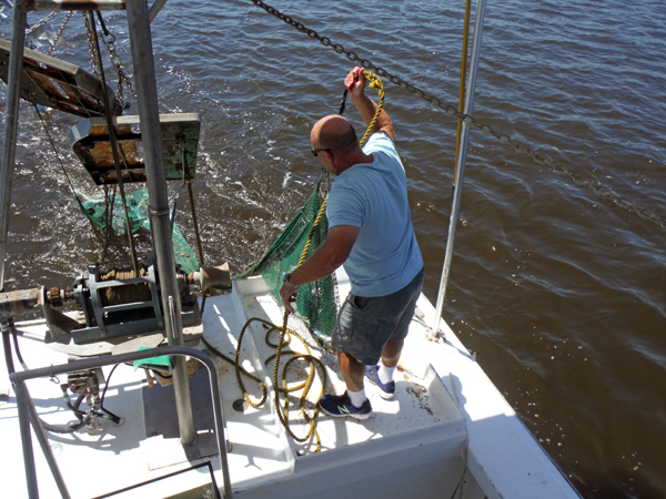 Bringing in the net and catch